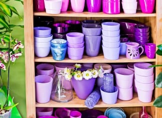 Czym kierować się podczas zakupu doniczek do domu?