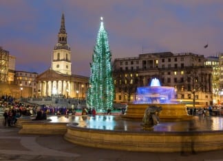 Świąteczne drzewko stanęło w sercu Londynu – na Trafalgar Square.