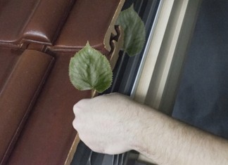 Wiosenne pogotowie okienne – na co zwrócić uwagę podczas pozimowego przeglądu okien dachowych?